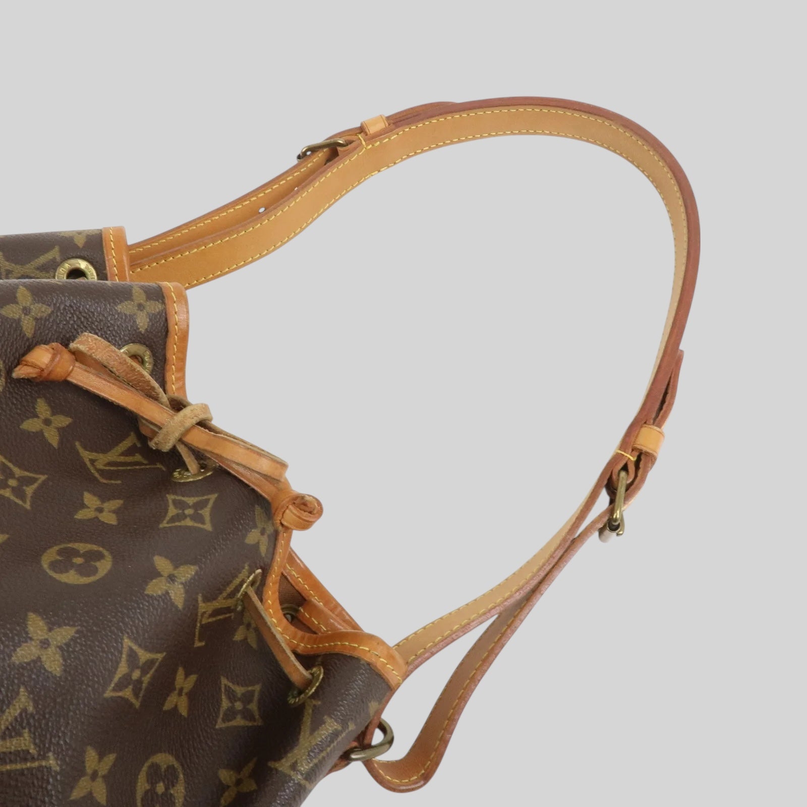 Louis Vuitton Noé PM