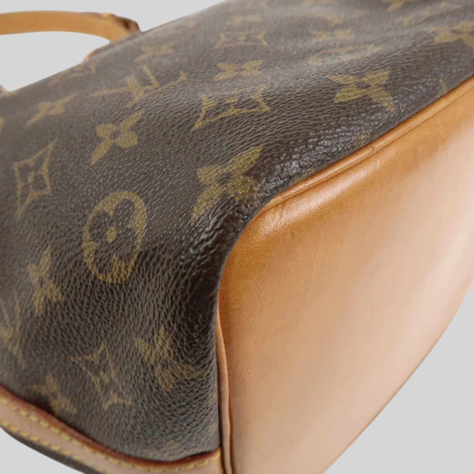 Louis Vuitton Noé PM