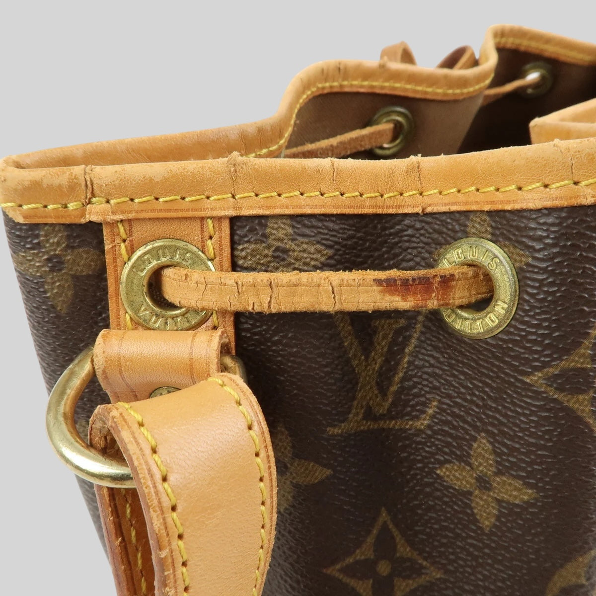 Louis Vuitton Noé PM