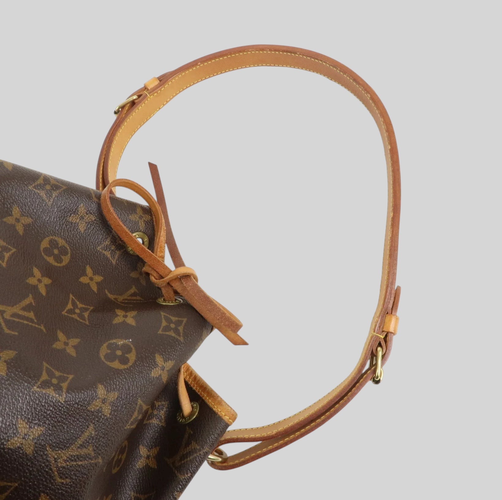 Louis Vuitton Noé PM