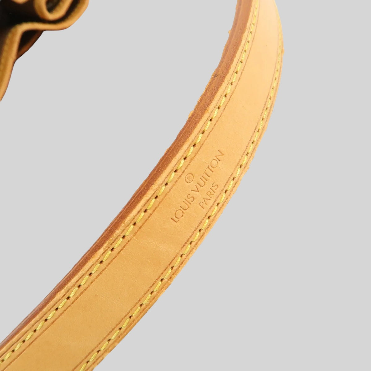 Louis Vuitton Noé PM