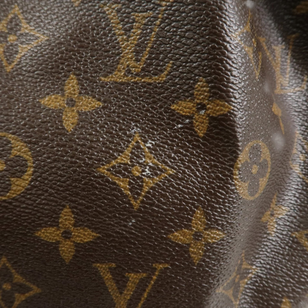 Louis Vuitton Noé PM