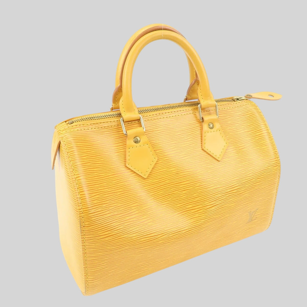 Louis Vuitton Speedy 25 Epi