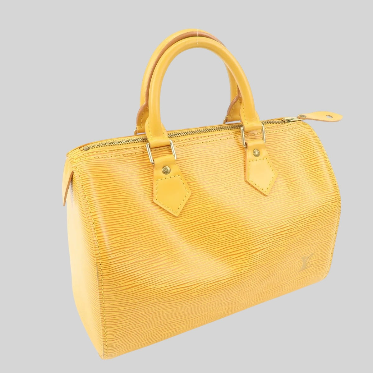Louis Vuitton Speedy 25 Epi