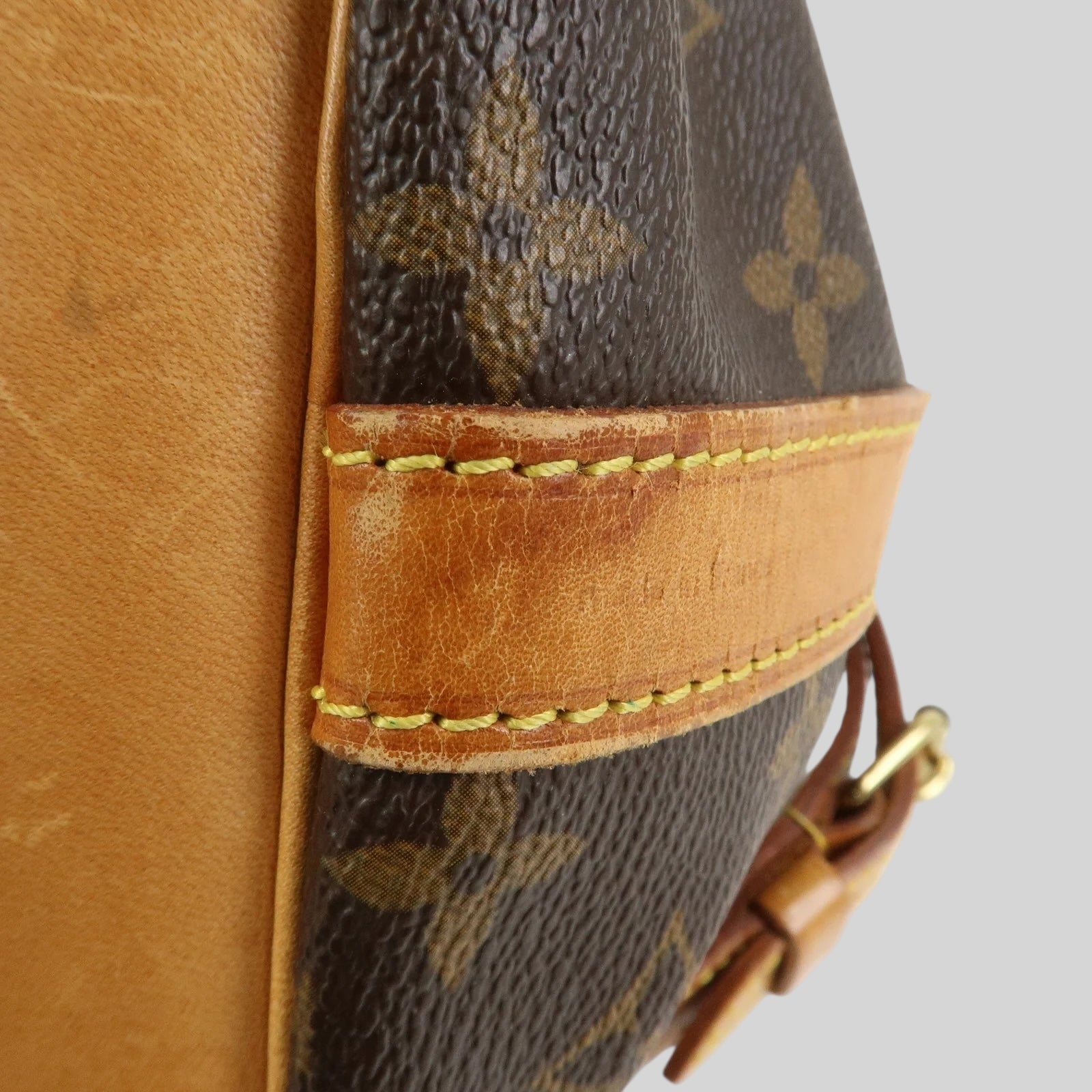Louis Vuitton Noé PM