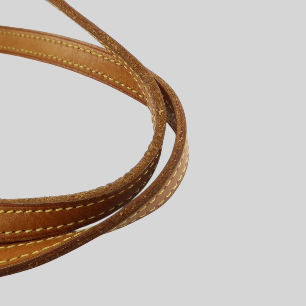 Louis Vuitton Papillon 30