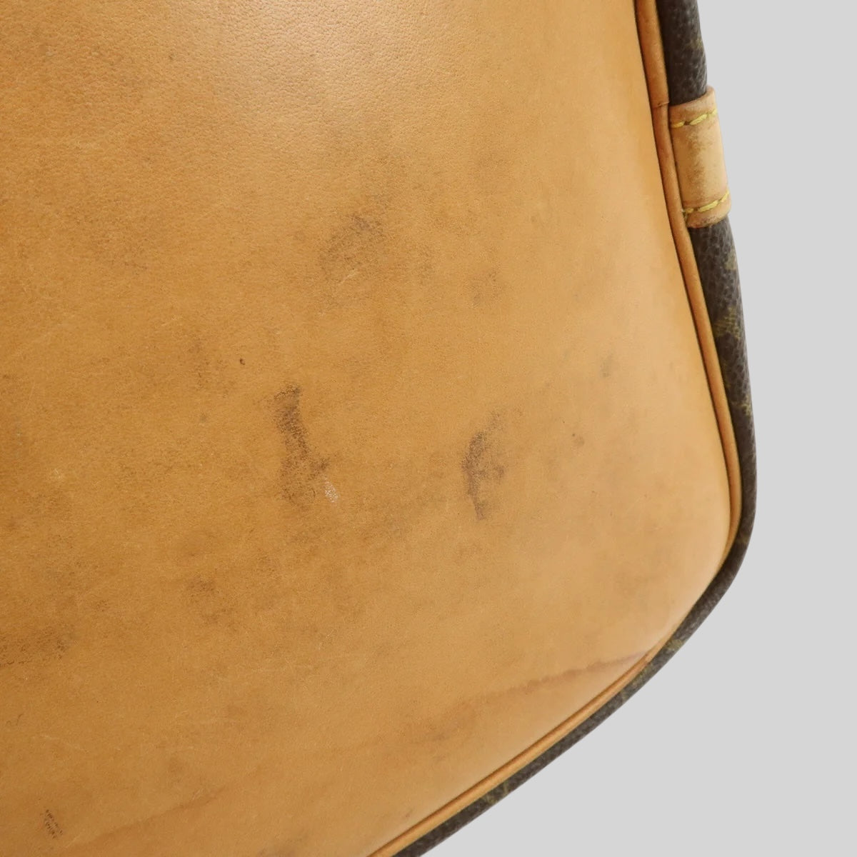 Louis Vuitton Noé PM