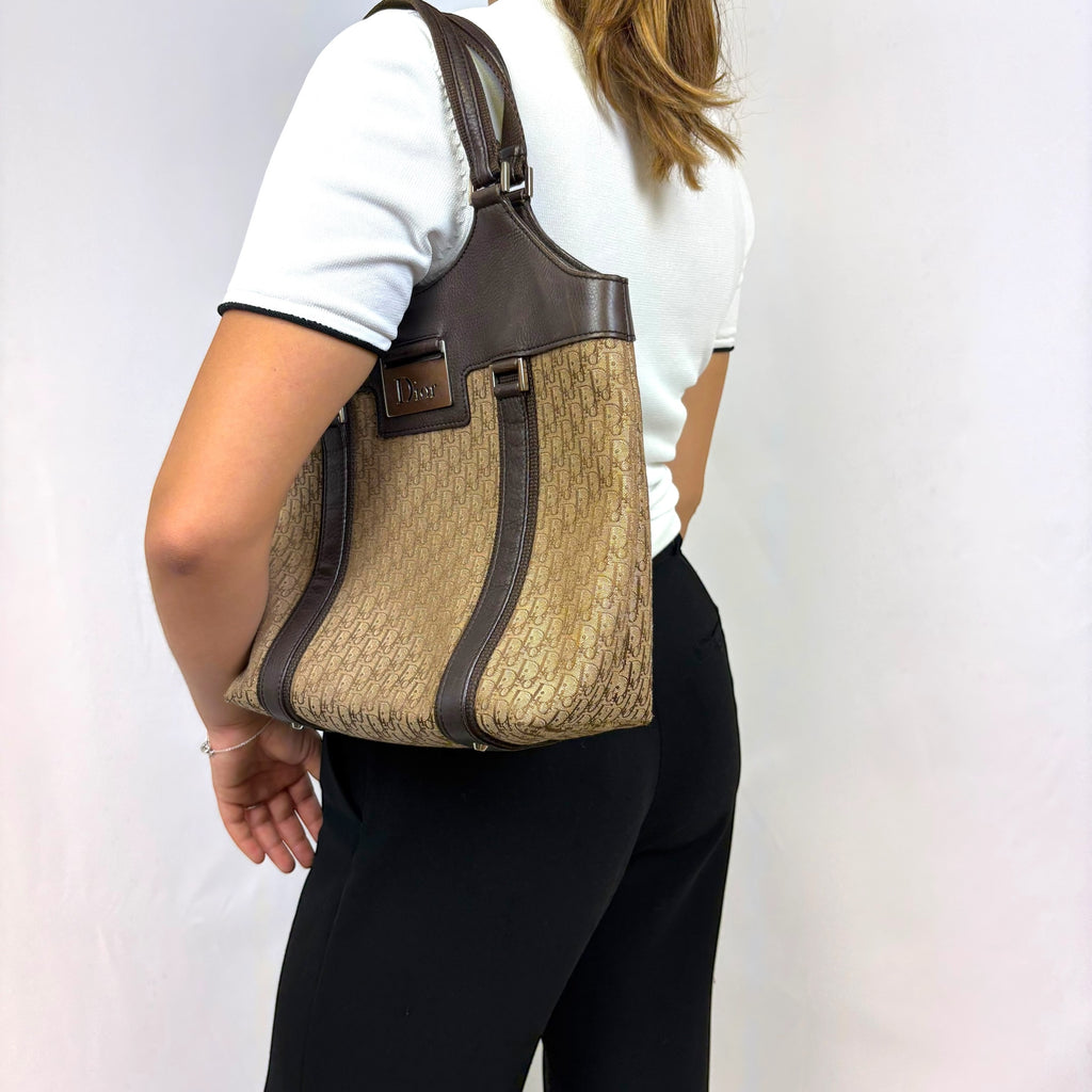Dior Street Chic Trotter