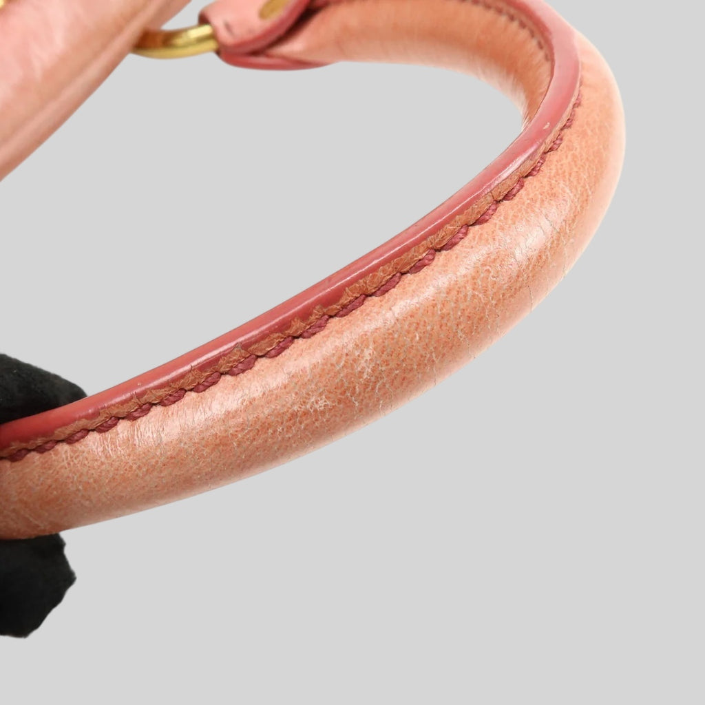 Miu Miu Vitello 2 Way