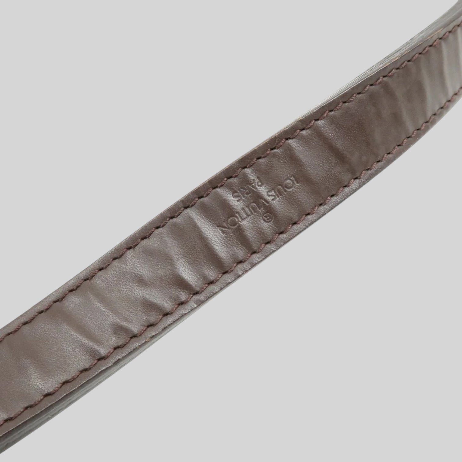 Louis Vuitton Noé PM Epi