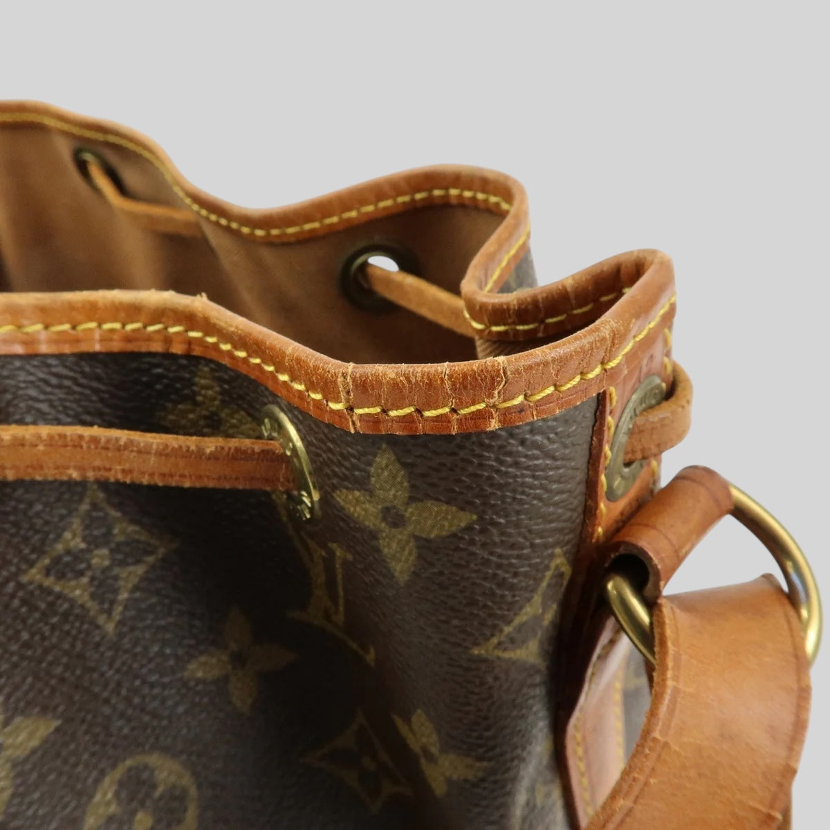 Louis Vuitton Noé PM