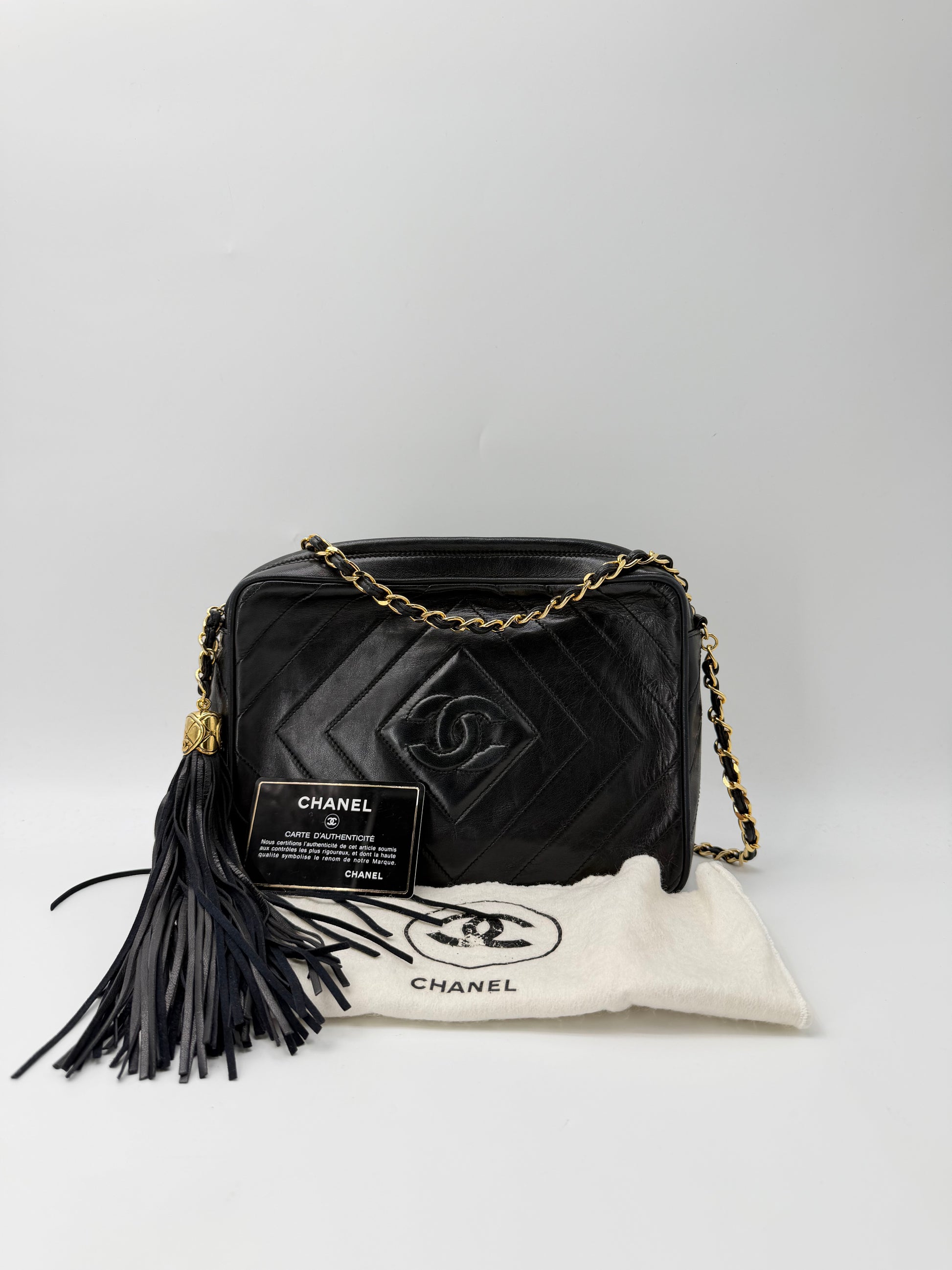 CHANEL CAMERA BAG