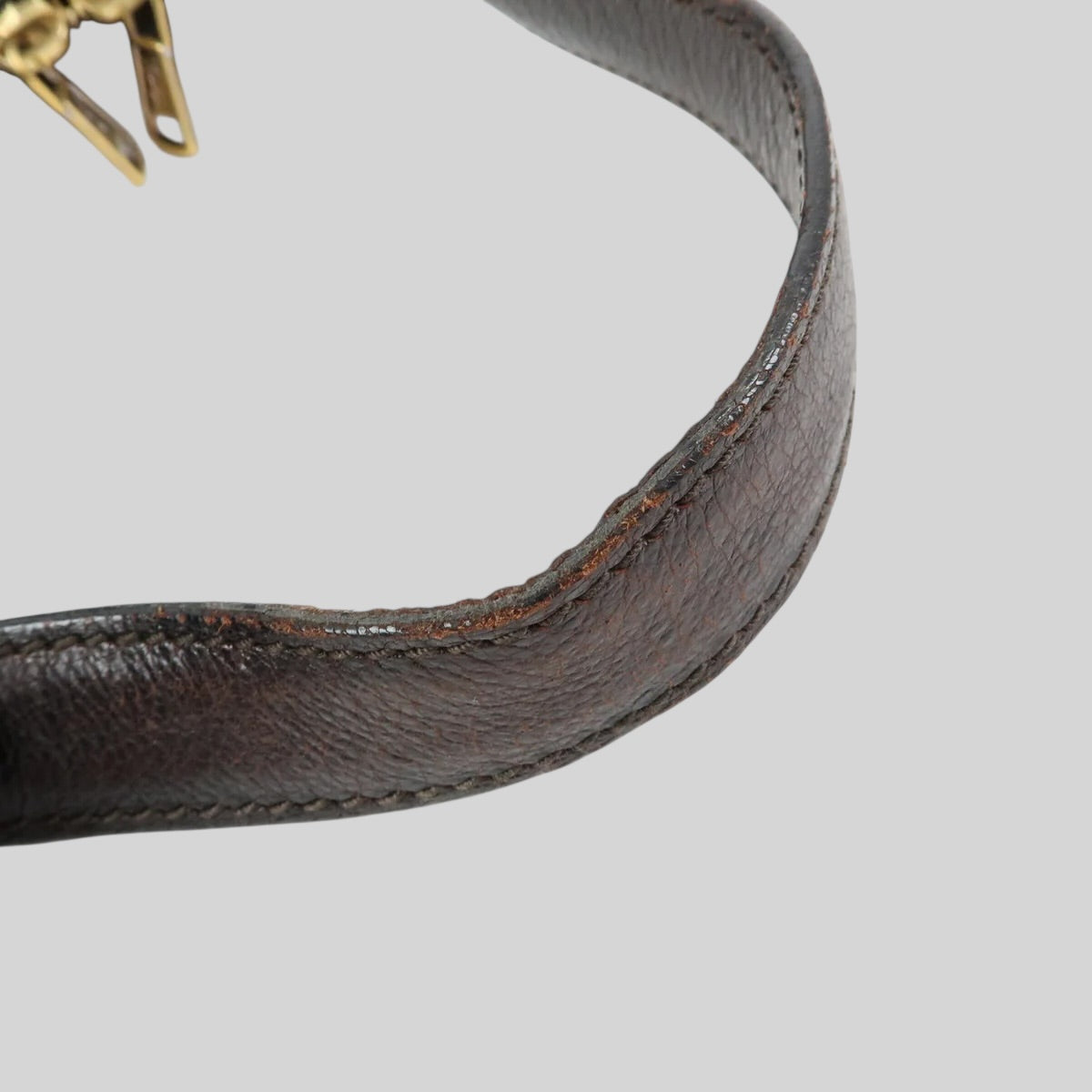 Yves Saint Laurent Muse