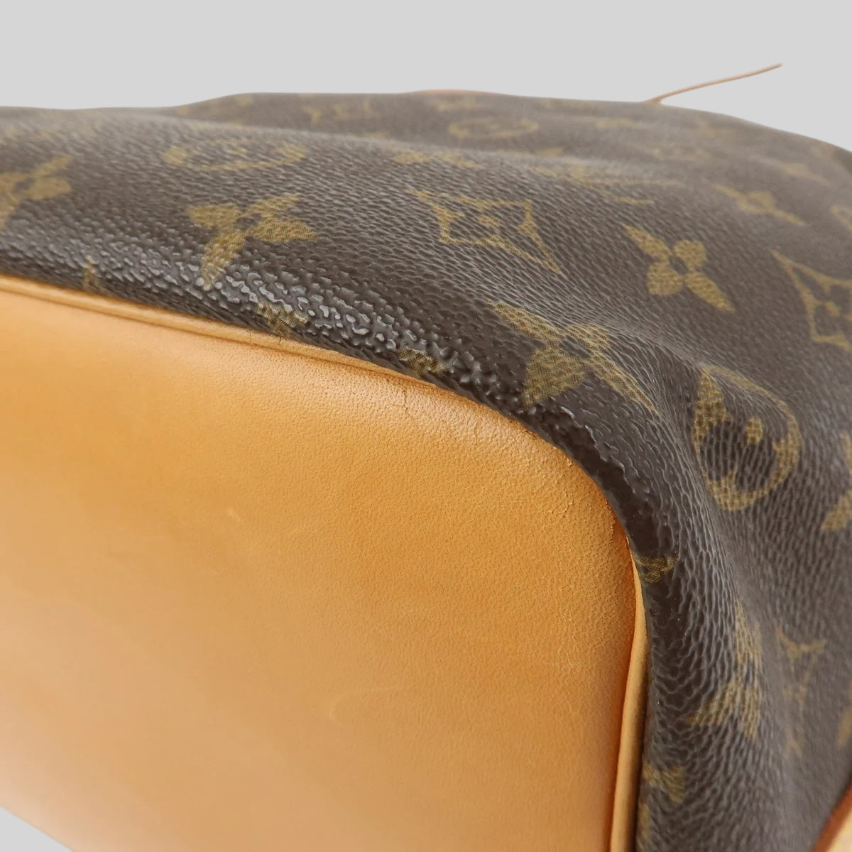 Louis Vuitton Noé PM