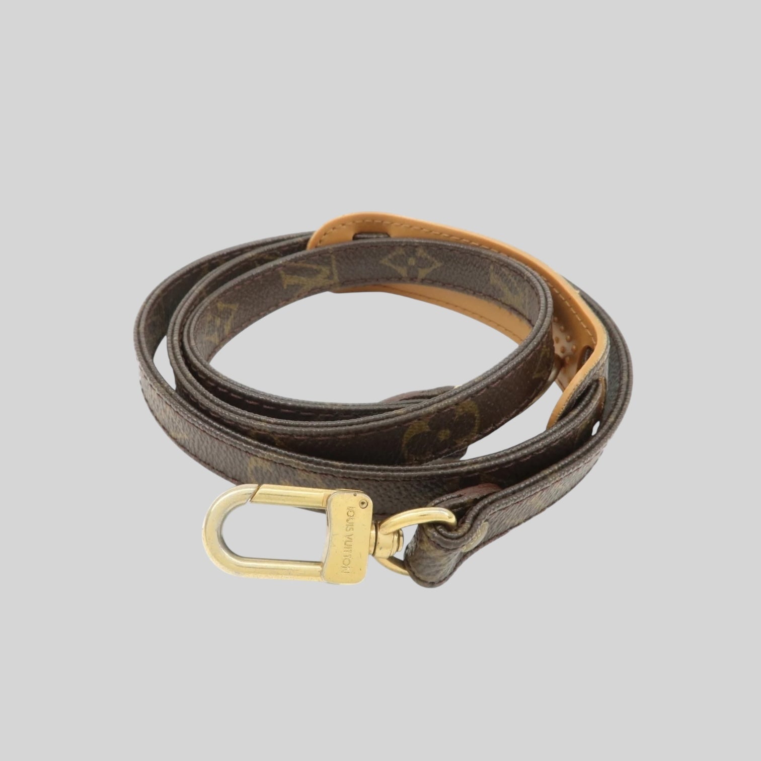 Louis Vuitton Bandoulière Monogram