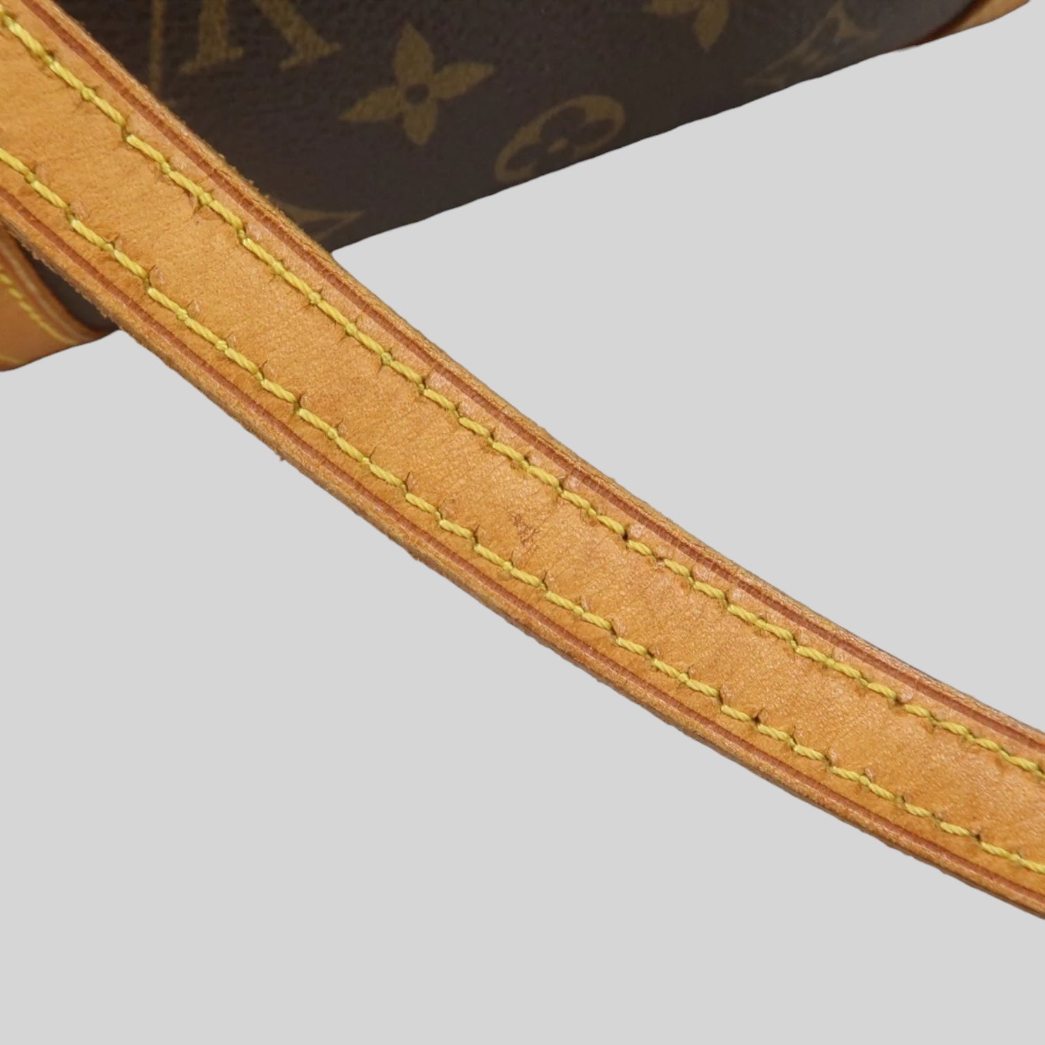 Louis Vuitton Papillon 30