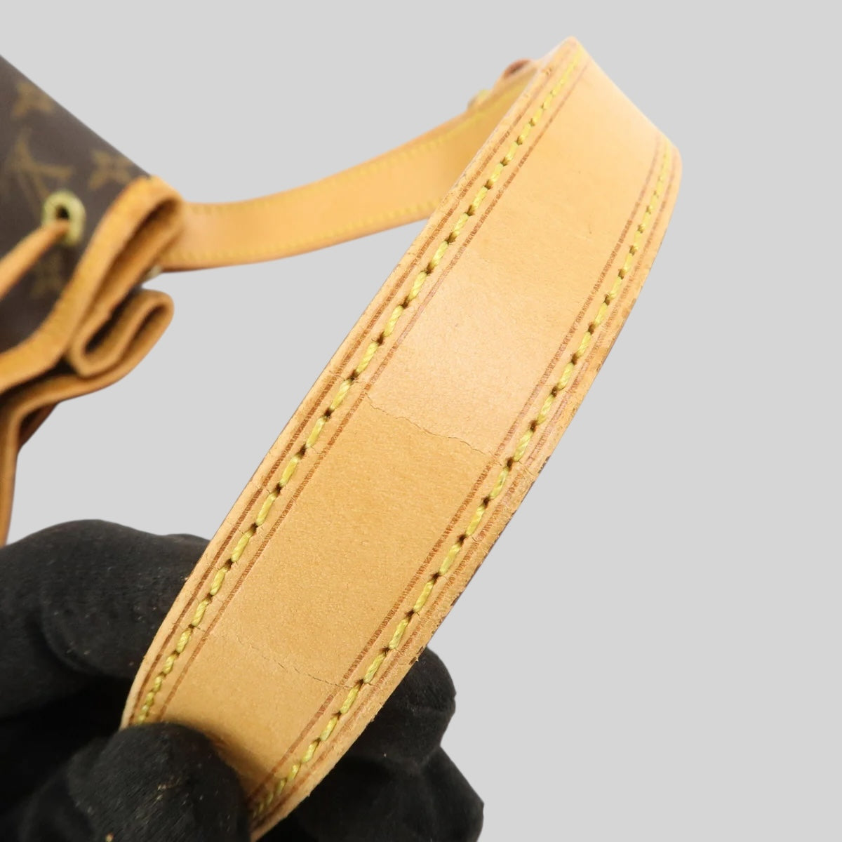Louis Vuitton Noé PM