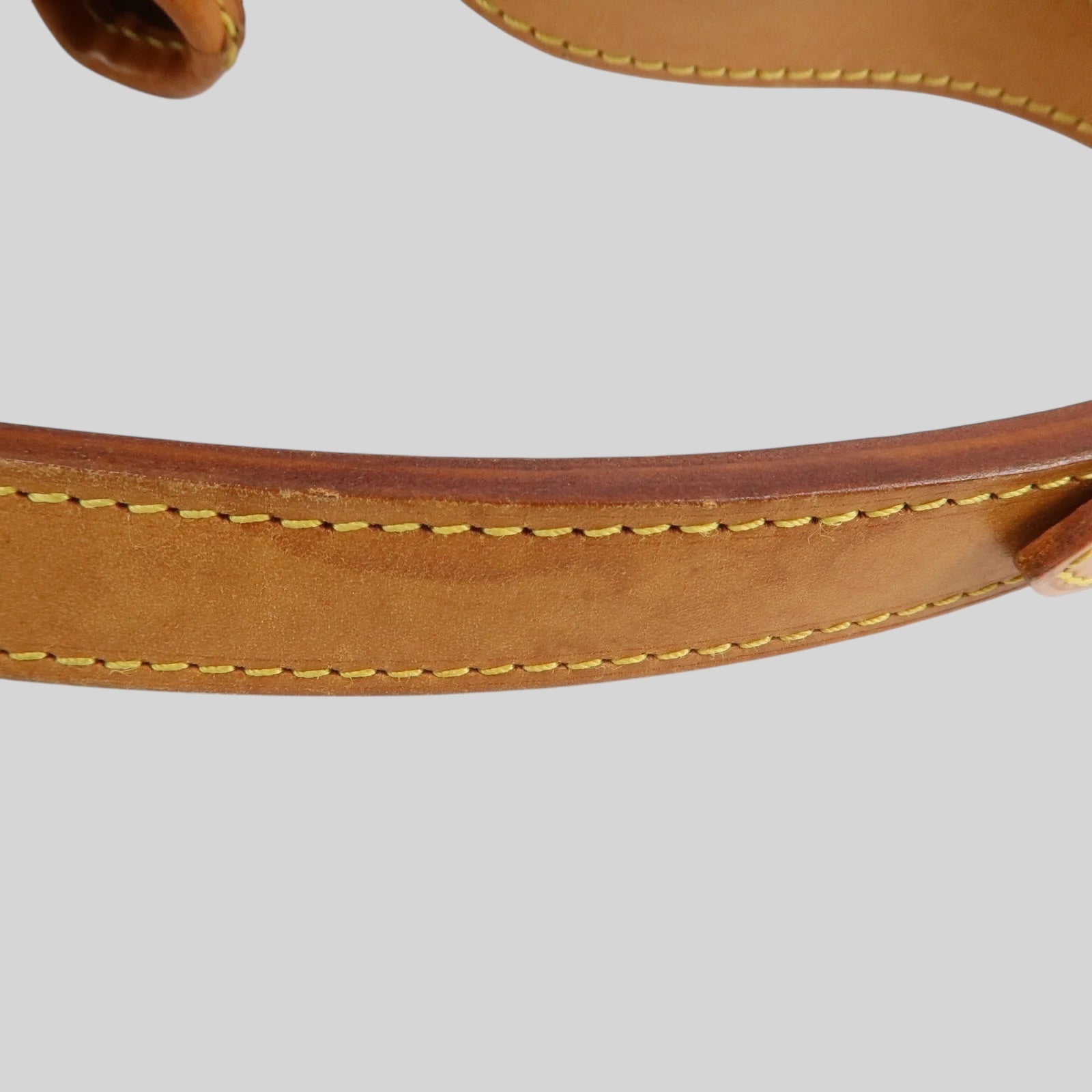 Louis Vuitton Noé PM
