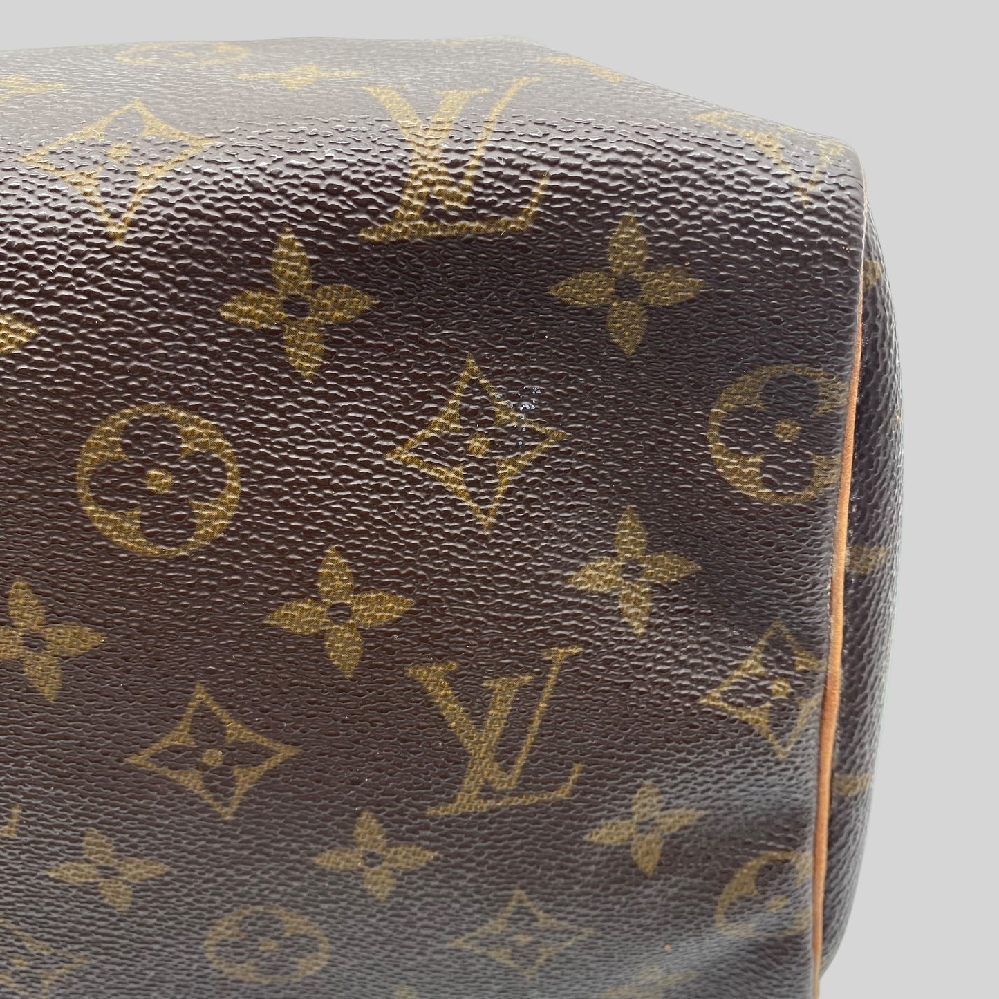 Louis Vuitton Speedy 25