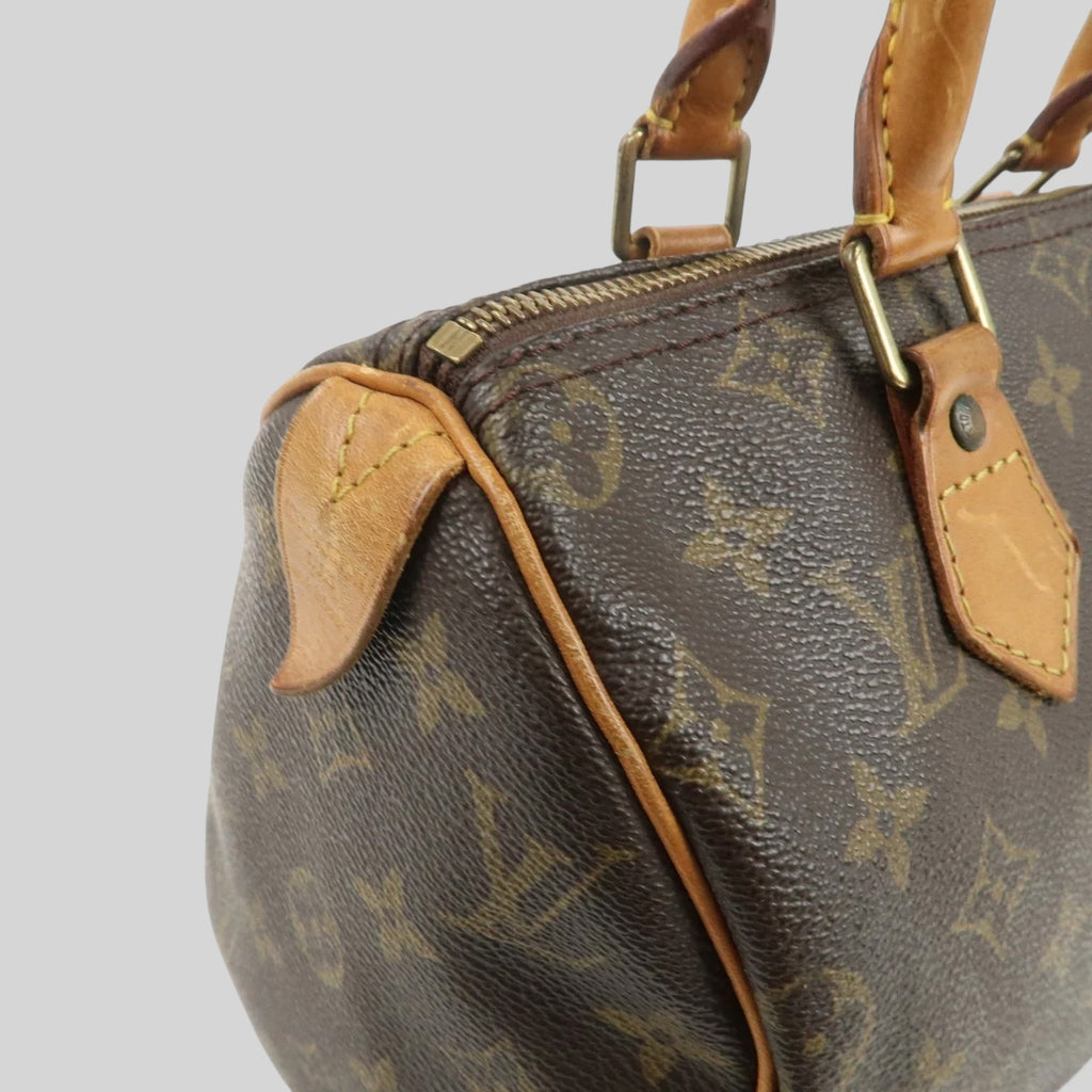 Louis Vuitton Speedy 25