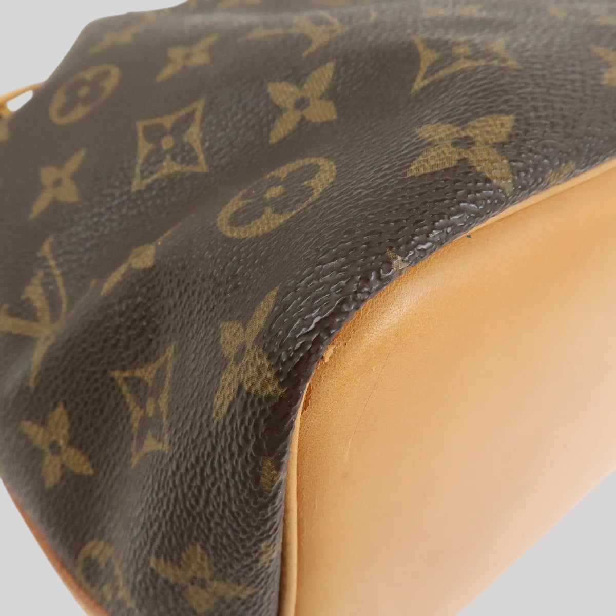 Louis Vuitton Noé PM
