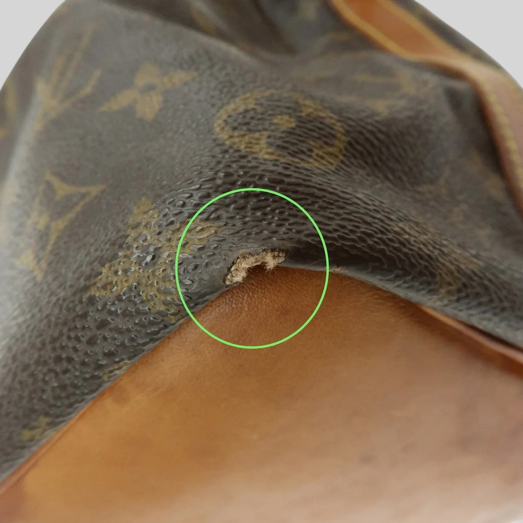 Louis Vuitton Noé PM