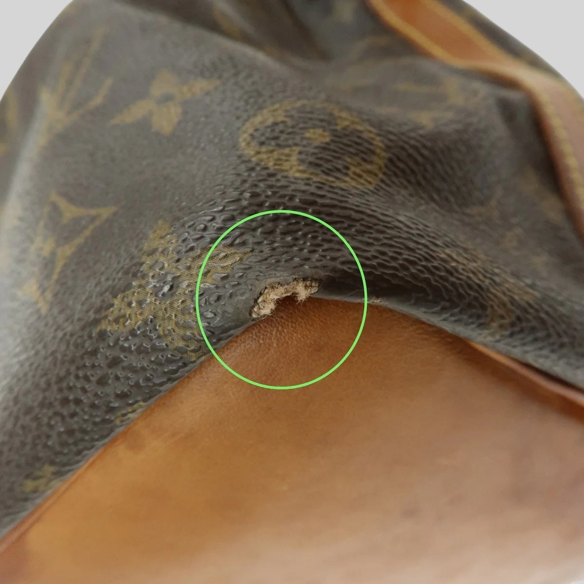 Louis Vuitton Noé PM