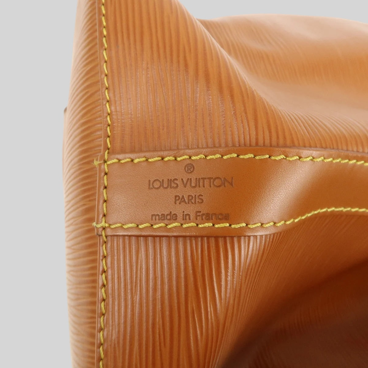 Louis Vuitton Noé PM Epi