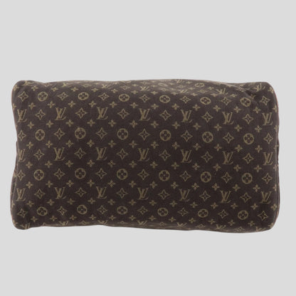 Louis Vuitton Speedy 30 Lin