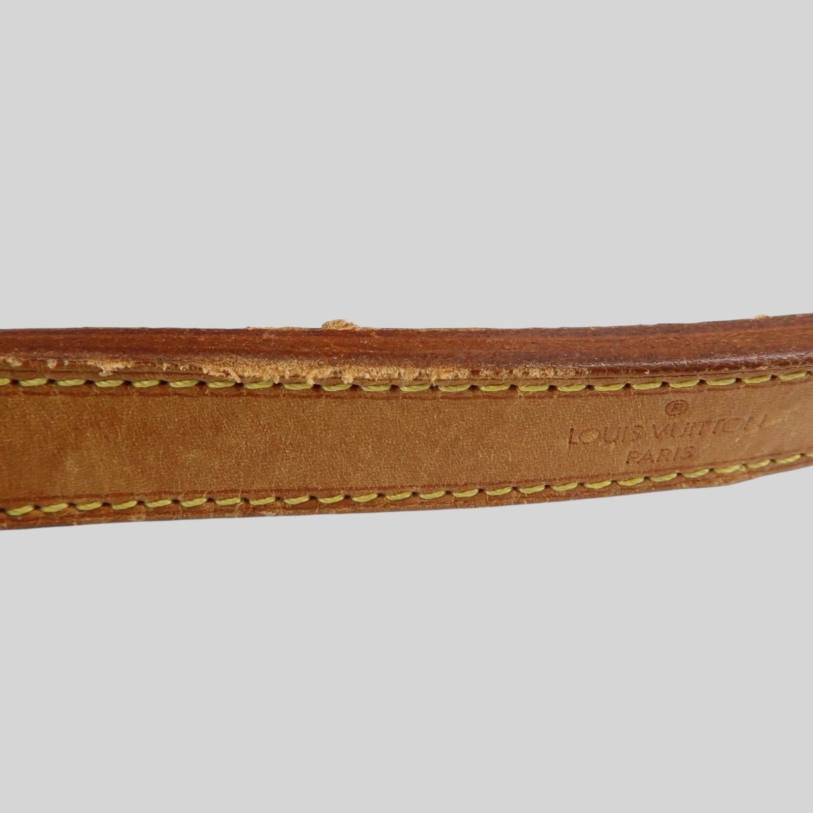 Louis Vuitton Noé PM