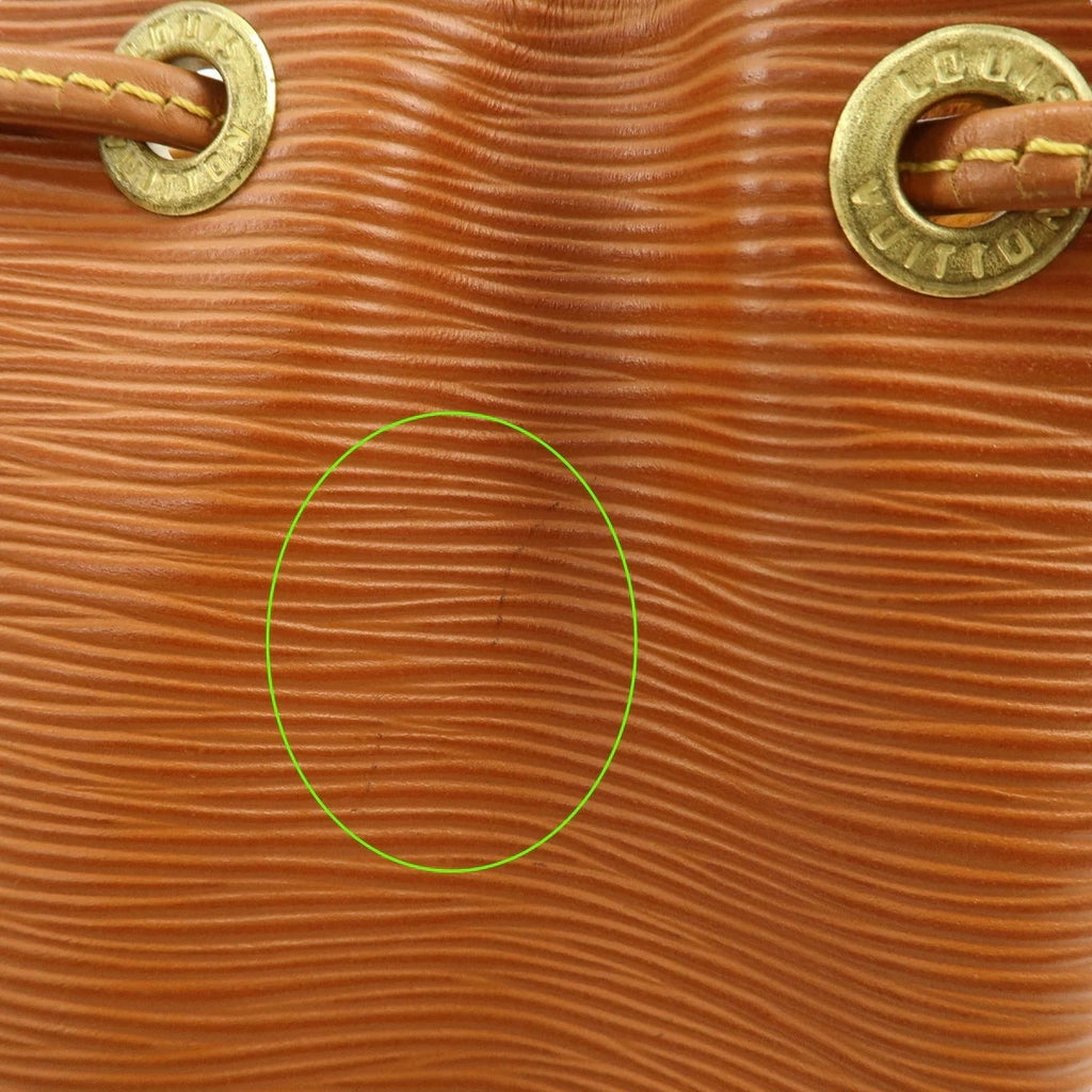 Louis Vuitton Noé PM Epi