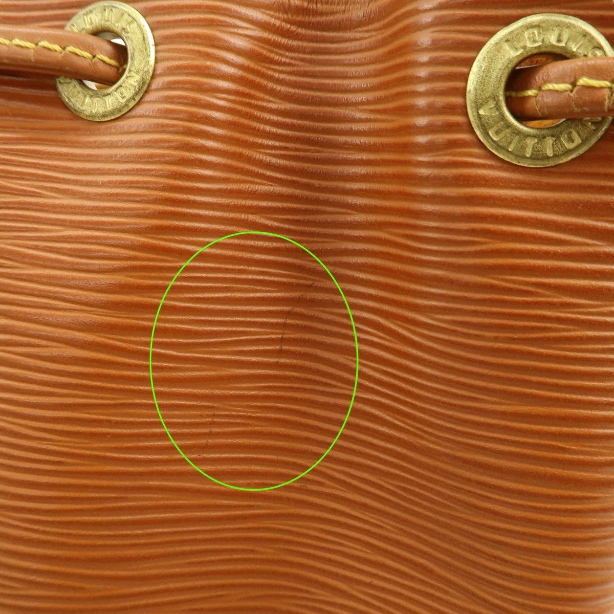 Louis Vuitton Noé PM Epi