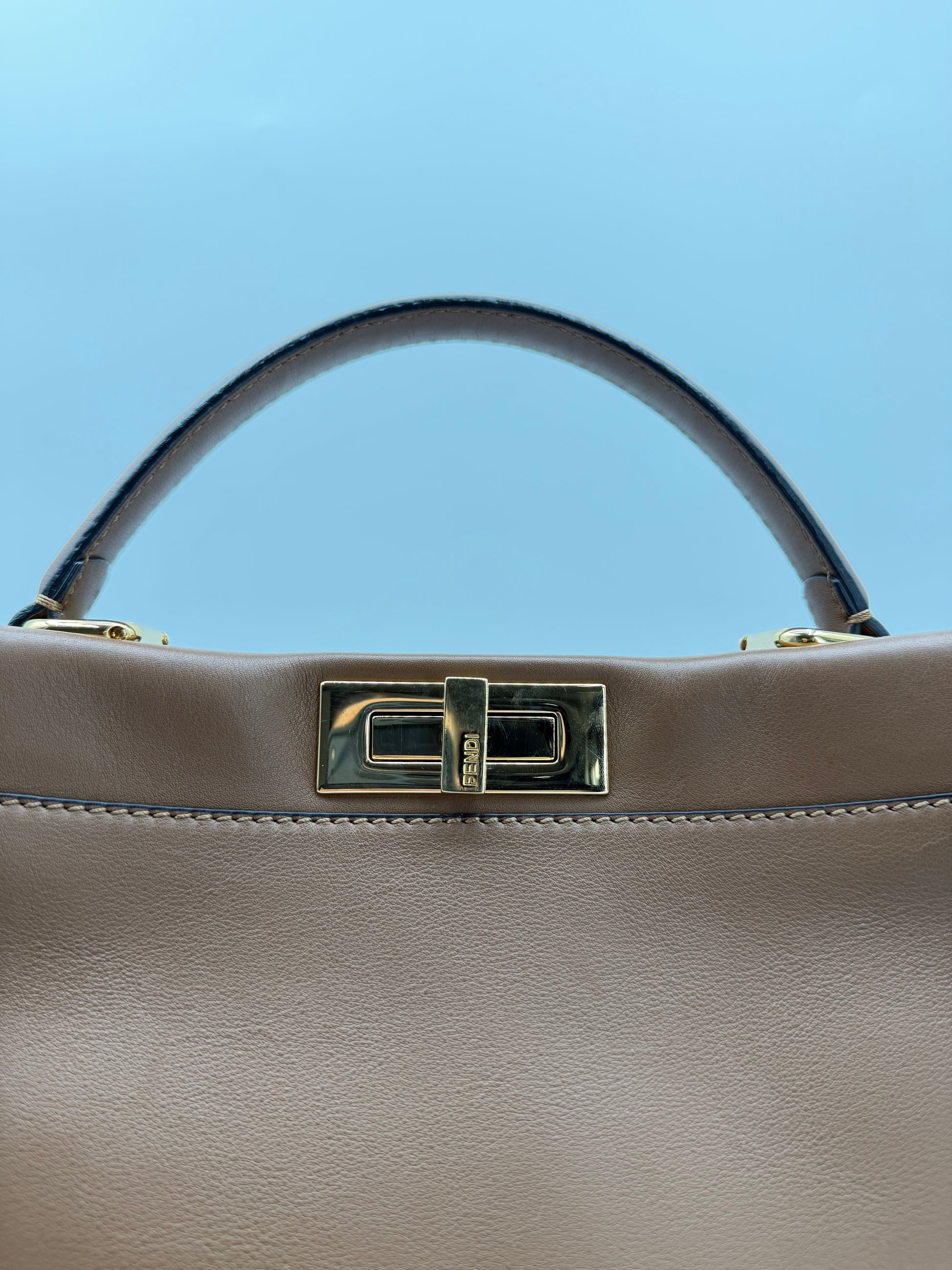 FENDI PEEKABOO PYTHON
