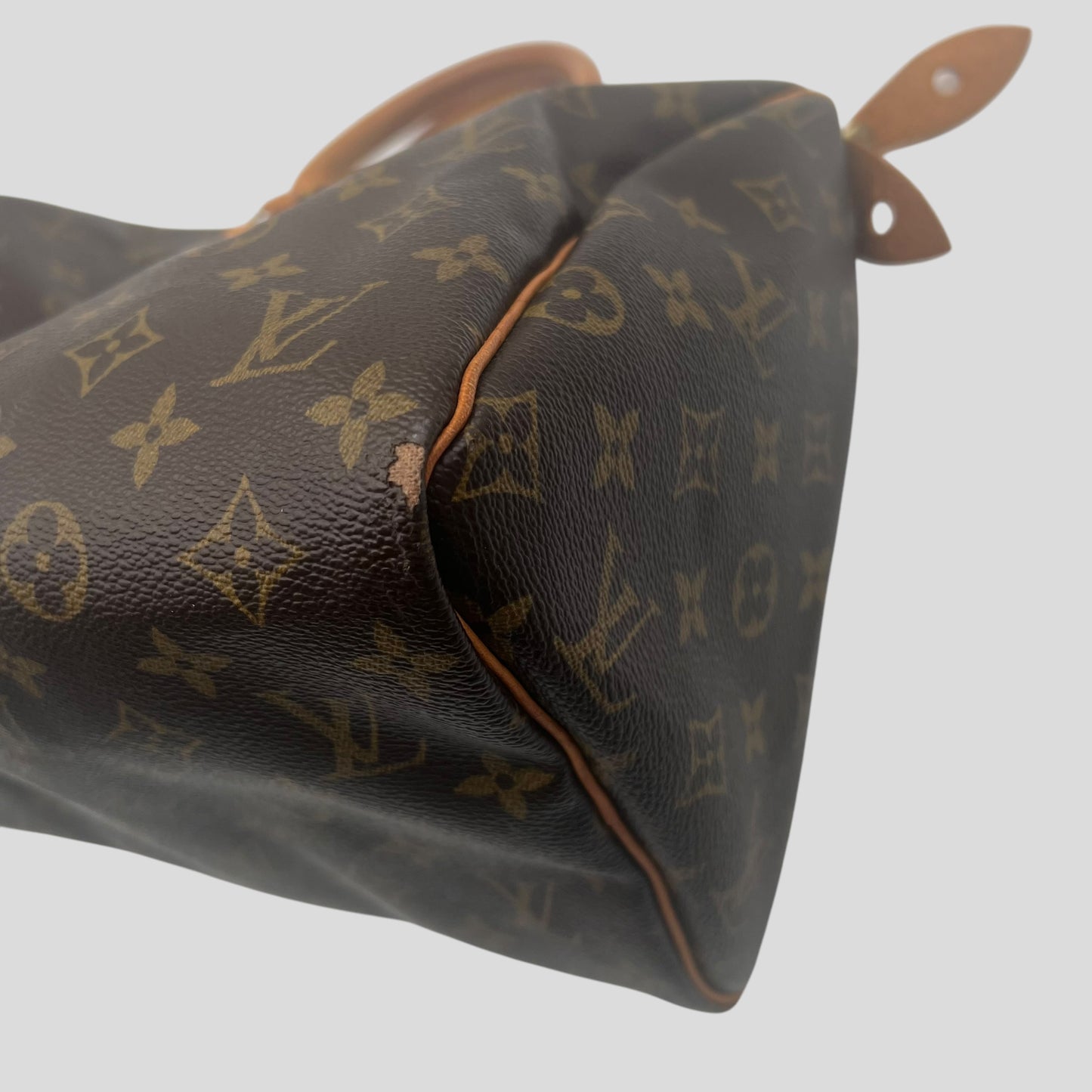 Louis Vuitton Speedy 30 Monogram