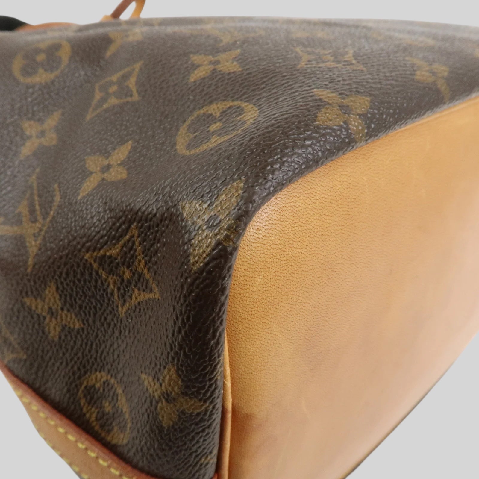 Louis Vuitton Noé PM