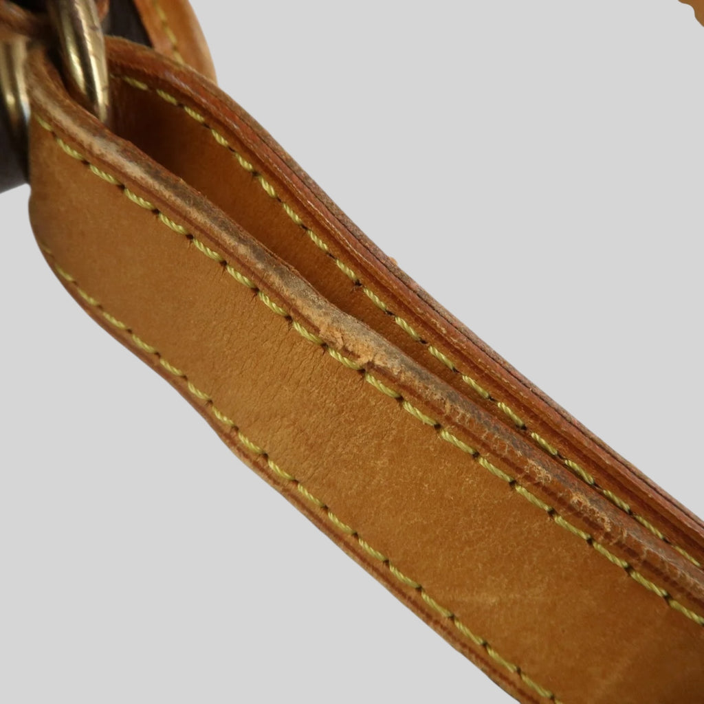 Louis Vuitton Noé PM