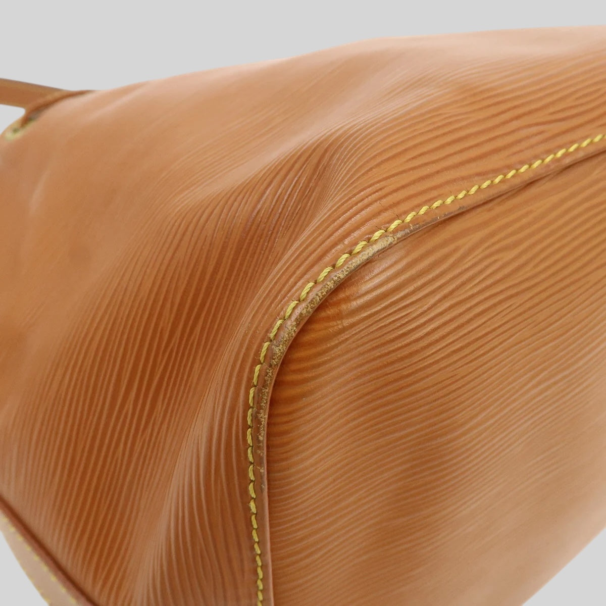 Louis Vuitton Noé PM Epi