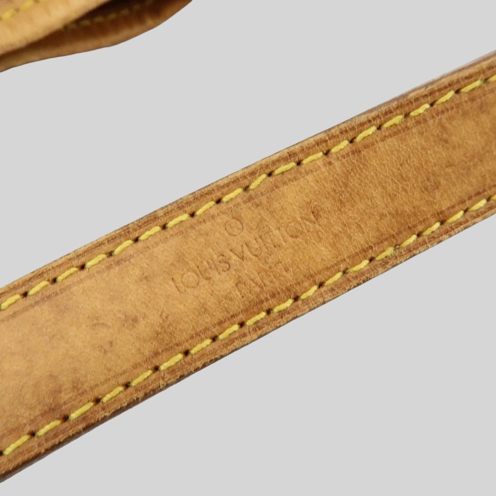 Louis Vuitton Noé PM