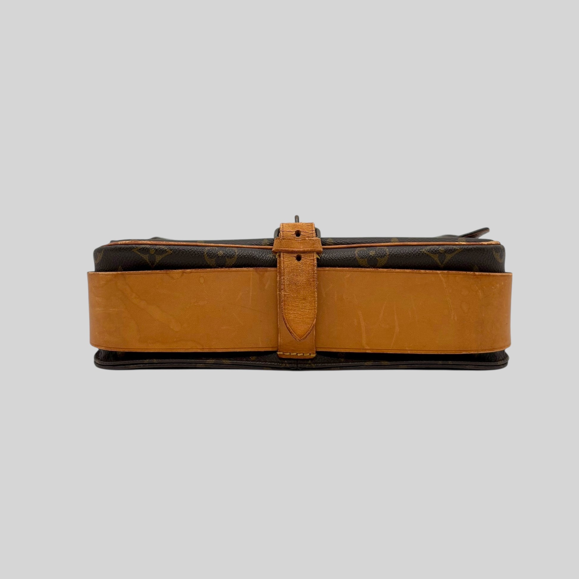 Louis Vuitton Cartouchière GM