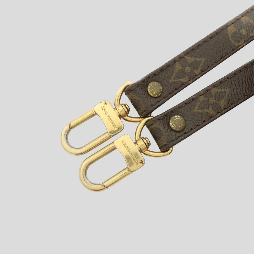 Louis Vuitton Bandoulière Monogram