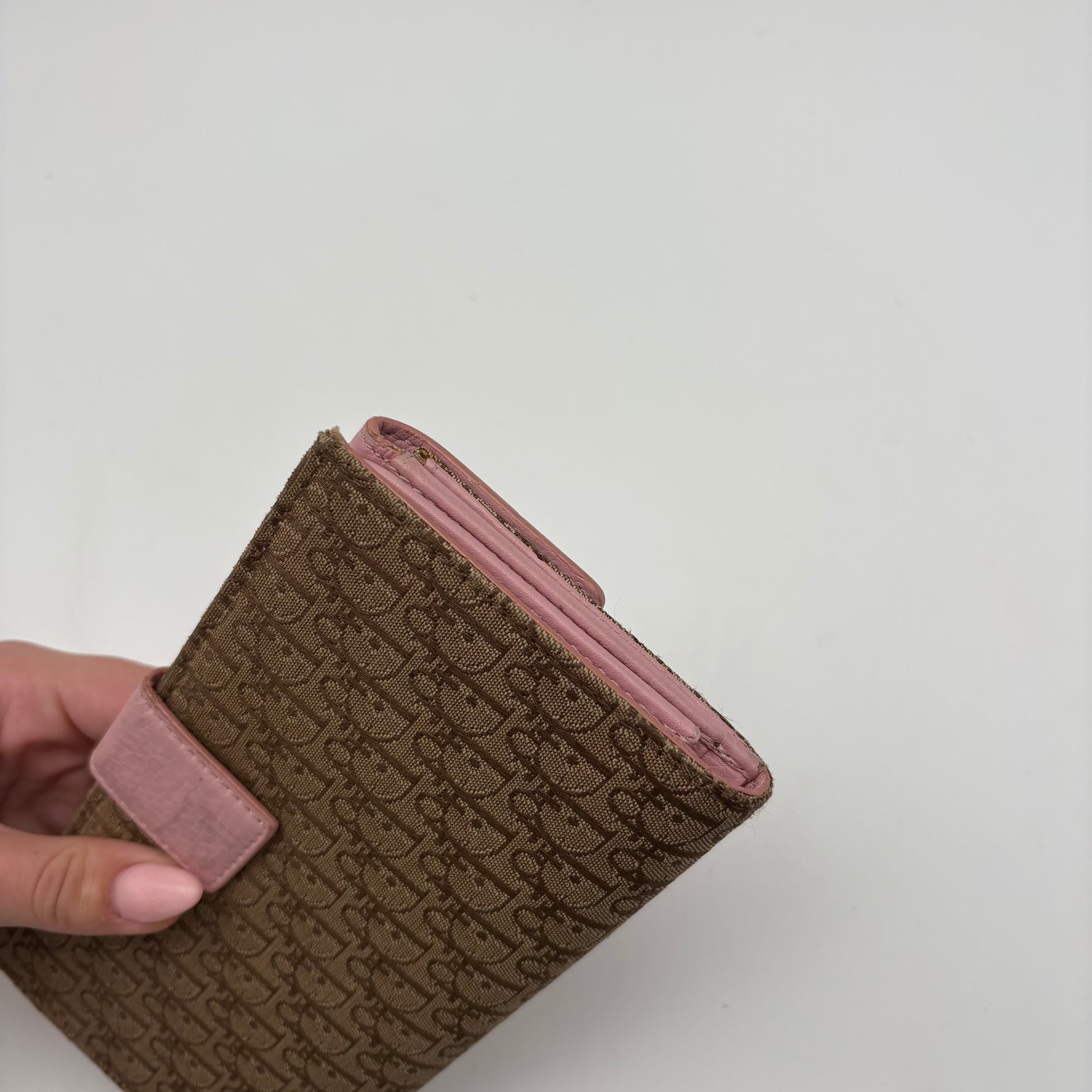 Dior Trotter