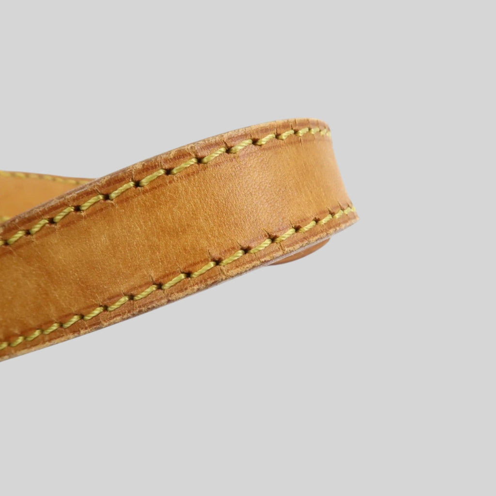 Louis Vuitton Noé PM