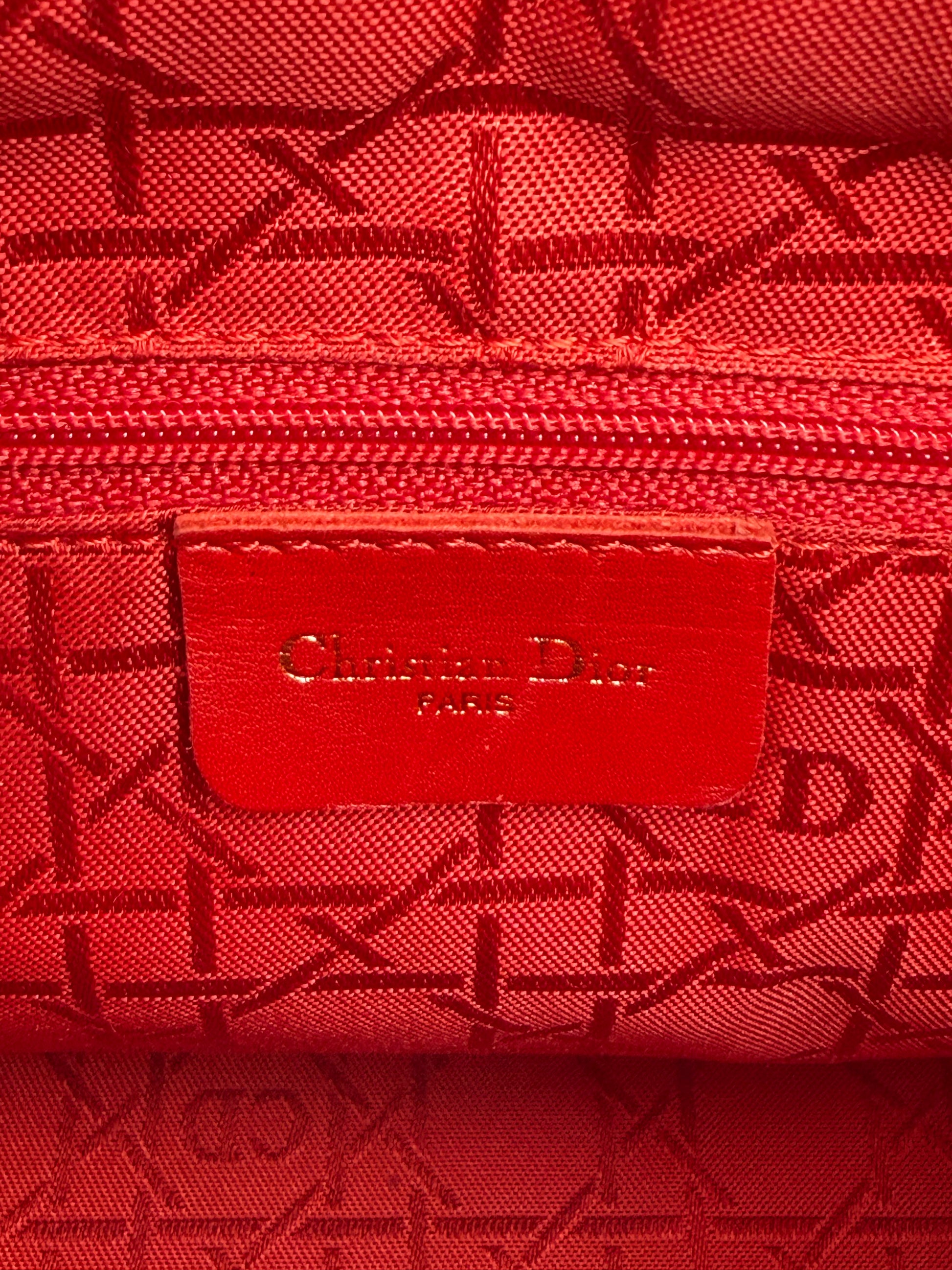 DIOR LADY