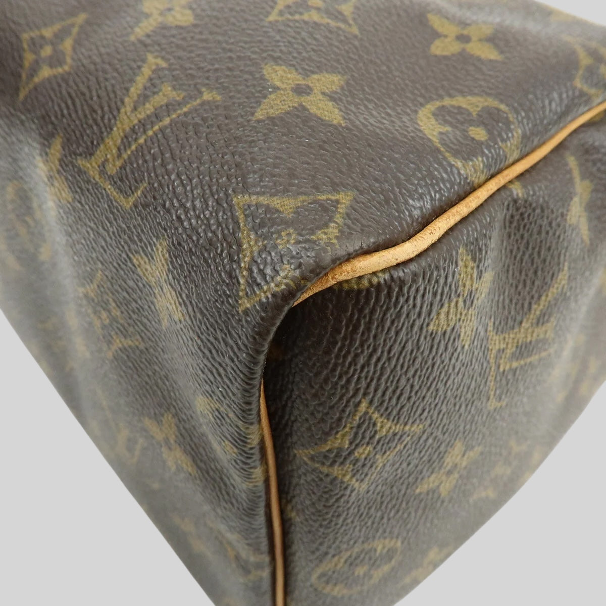 Louis Vuitton Speedy 25