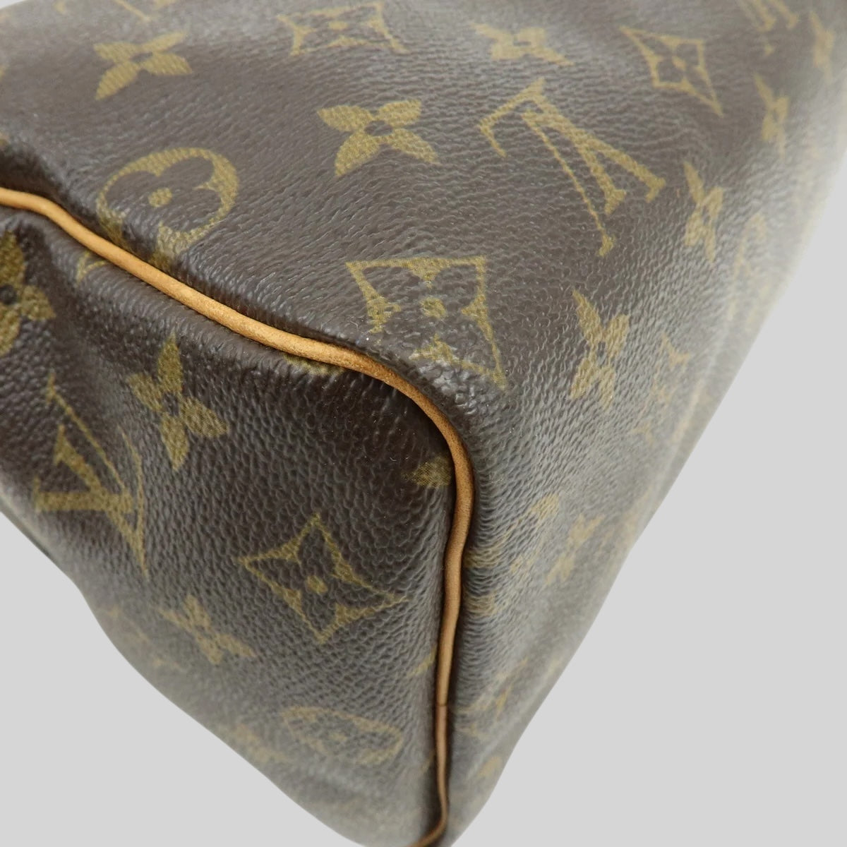 Louis Vuitton Speedy 25