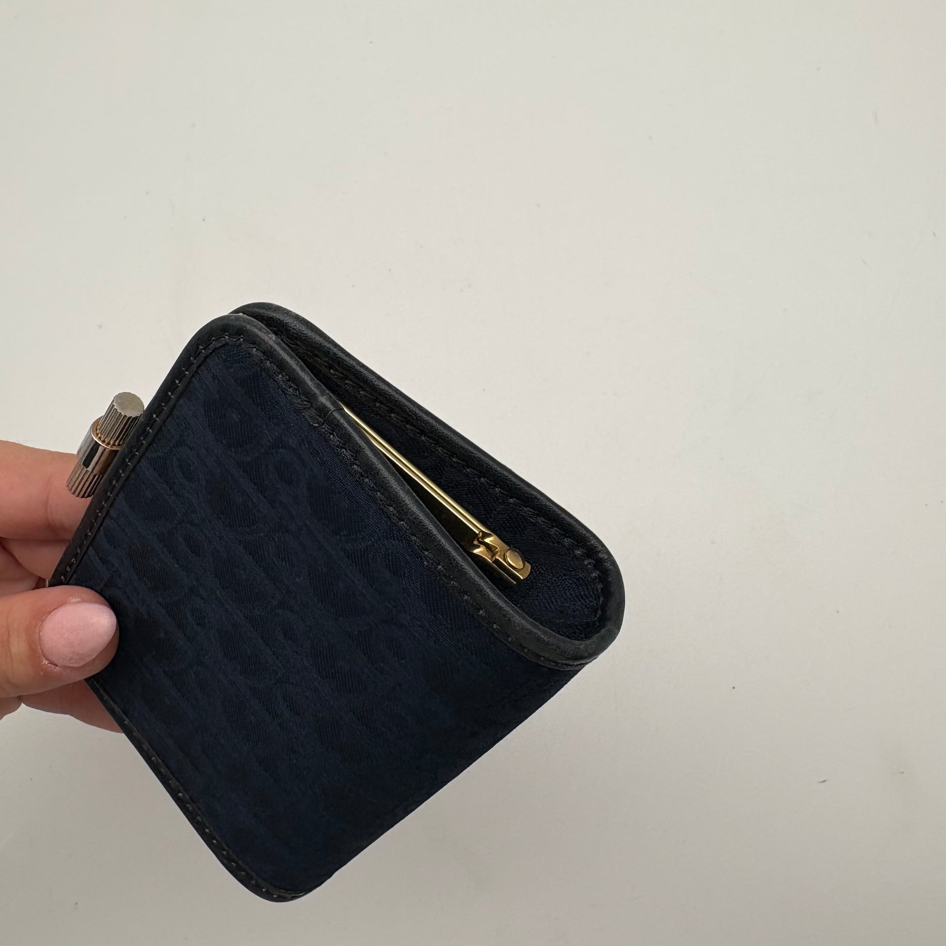 Dior Coin Case