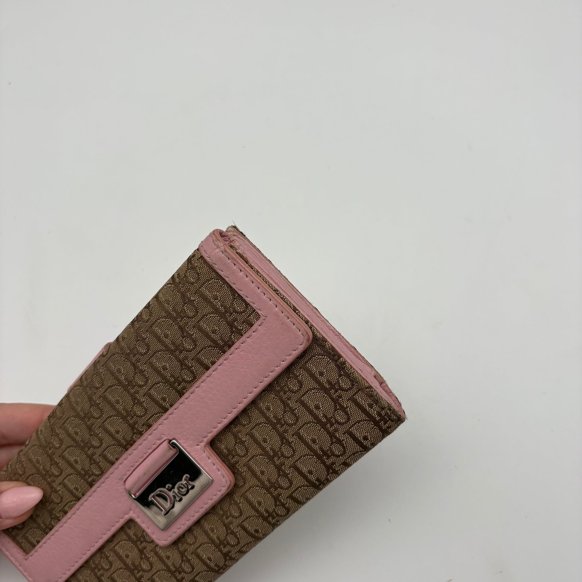 Dior Trotter