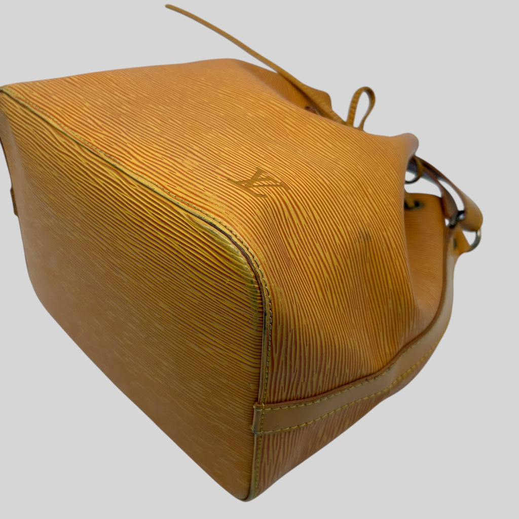 Louis Vuitton Noé PM Epi
