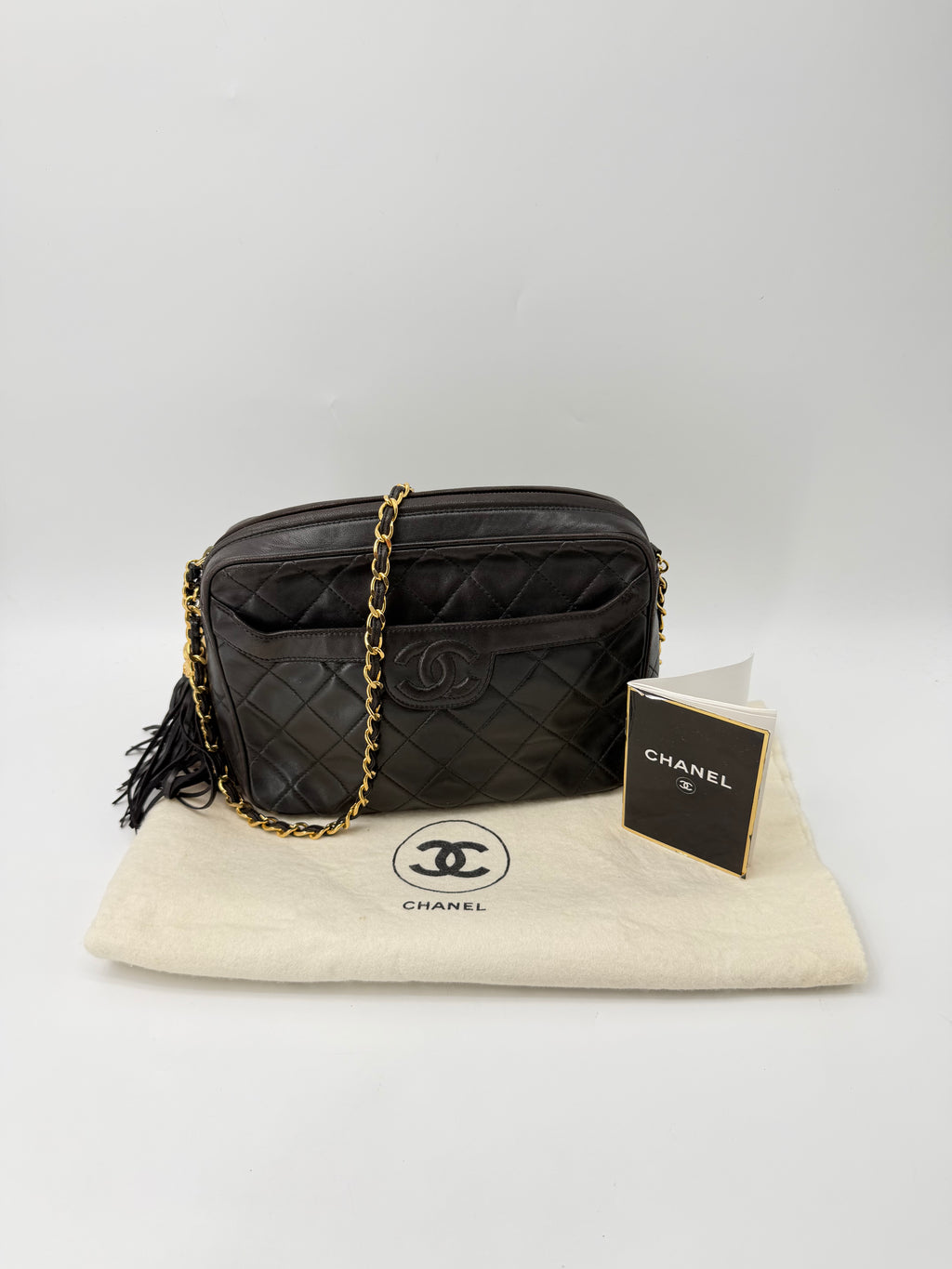 CHANEL CAMERA BAG