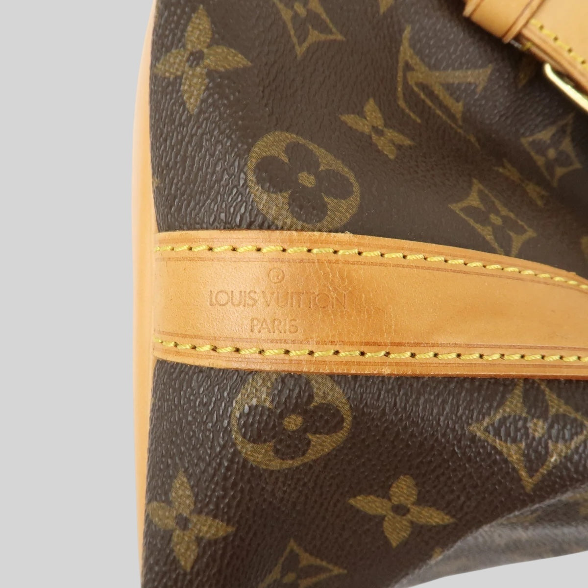 Louis Vuitton Noé PM